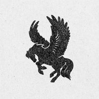 Wishing Stallion